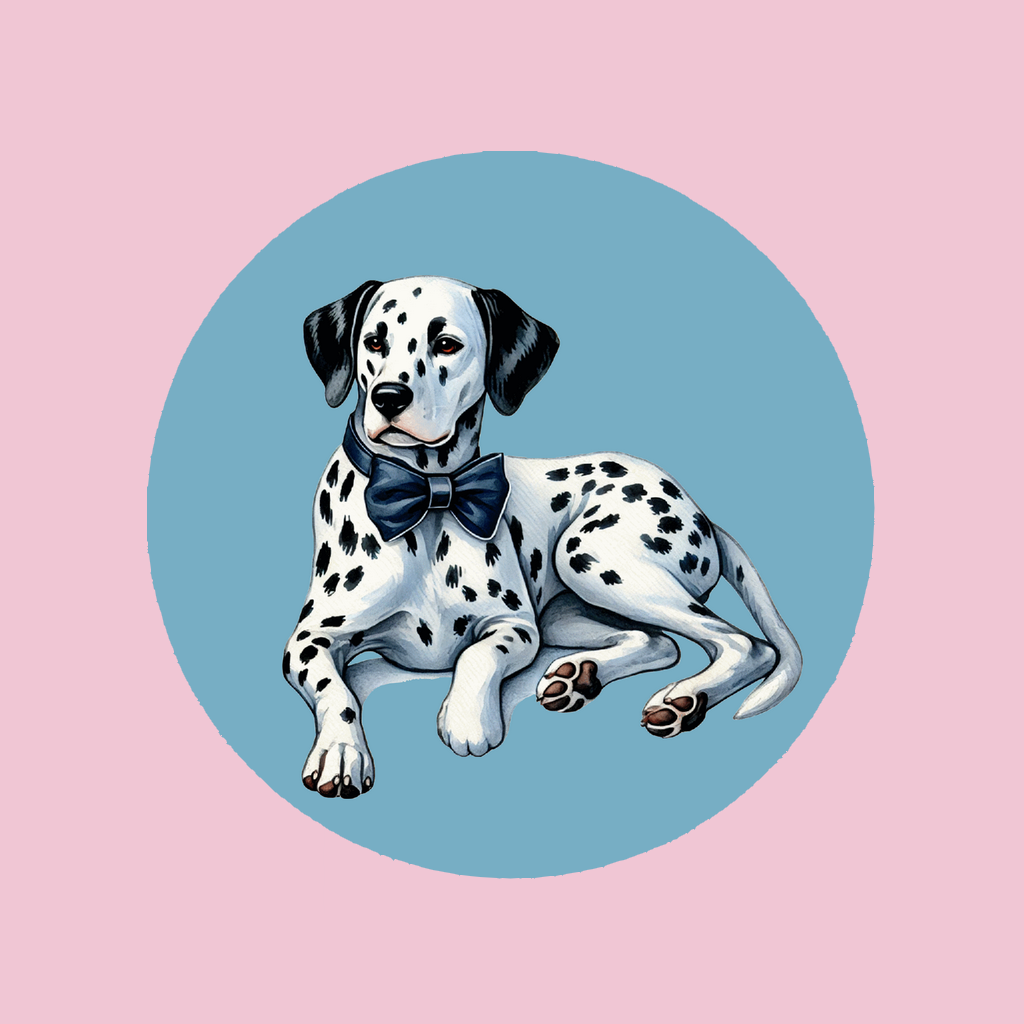Dalmatian Coaster