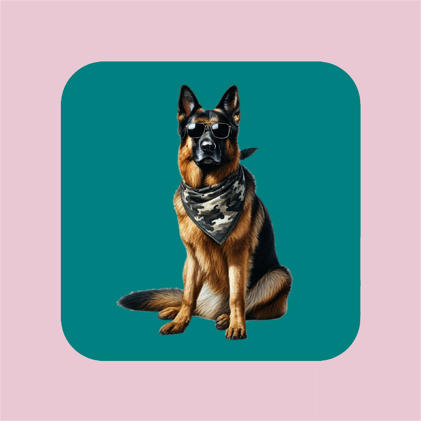 Aimant Berger Allemand