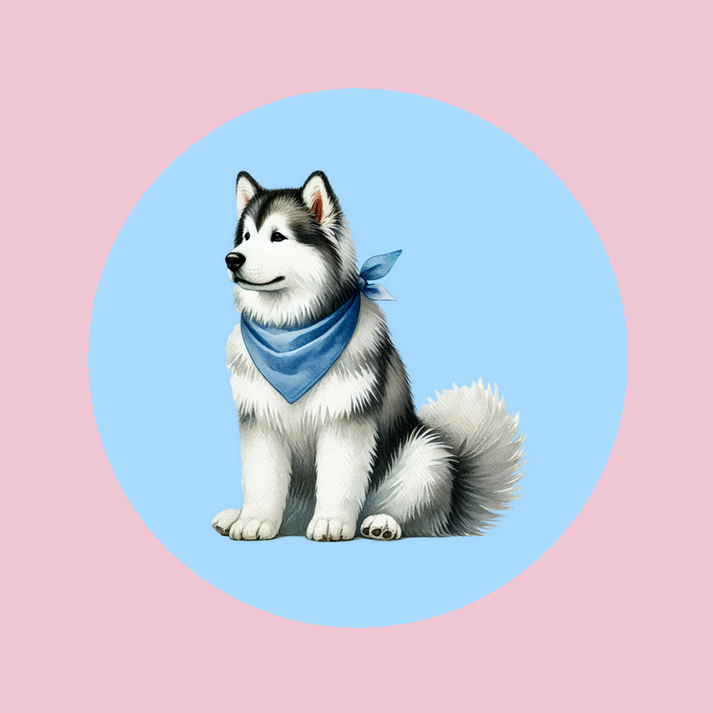 Sous-verre Alaskan Malamute