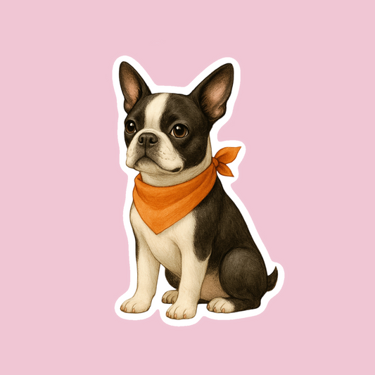 Boston Terrier Sticker
