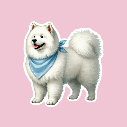 Samoyed Sticker