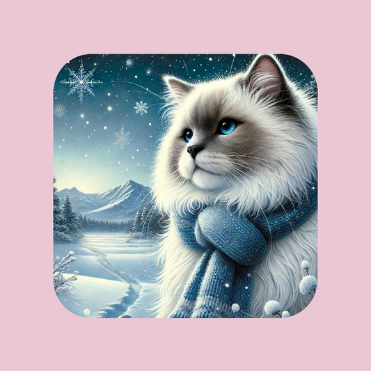 Ragdoll - Winter Magnet